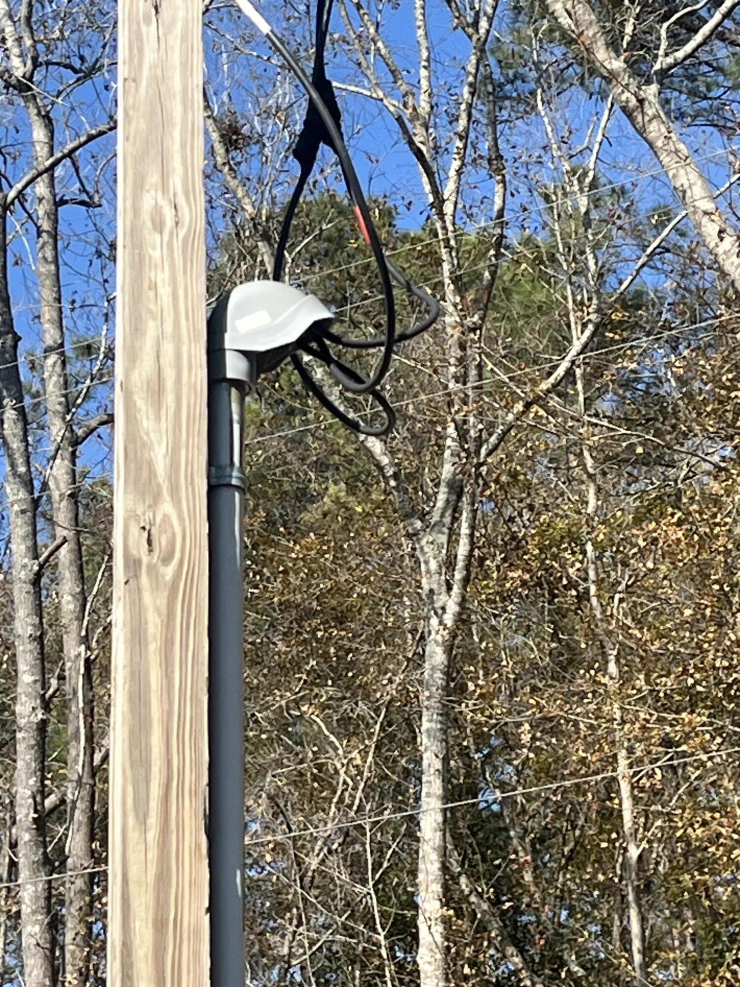 6224 Martin Street Ravenel, SC 29470 - Photo 7 of 7 IMG_9240