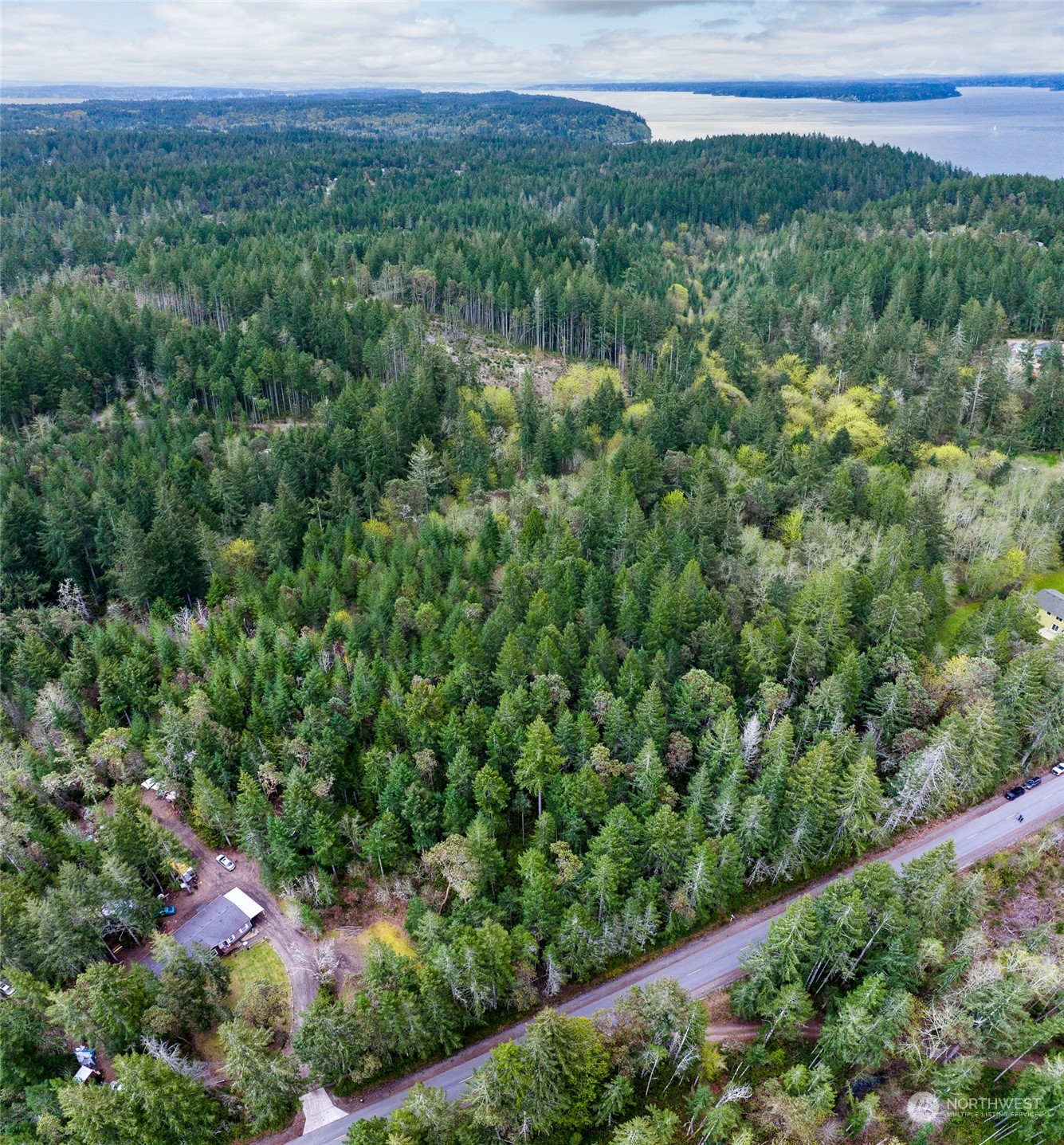 0 Tiedman Road Southwest Lakebay, WA 98349 - Photo 2 of 4 a view of a lush green forest with lots of buildings and trees