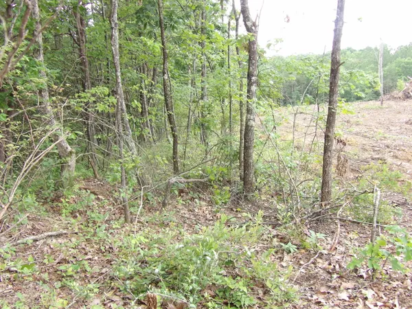 $55,600 | Lot 7 Hughes Road, Unit 7, Evensville, TN 37332