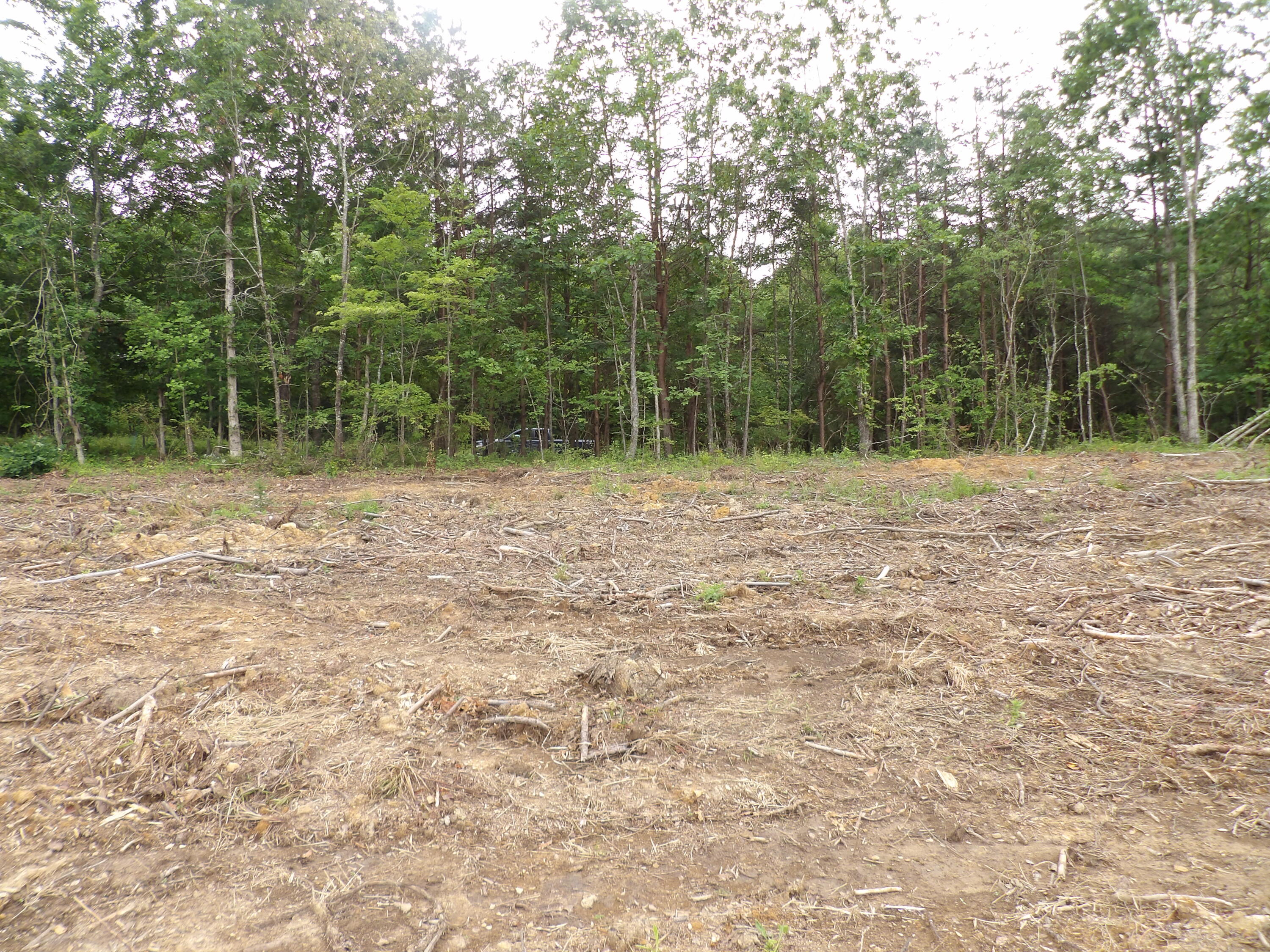 Lot 7 Hughes Cemetery Road, Unit 7 Evensville, TN 37332 - Photo 11 of 14 100_1573