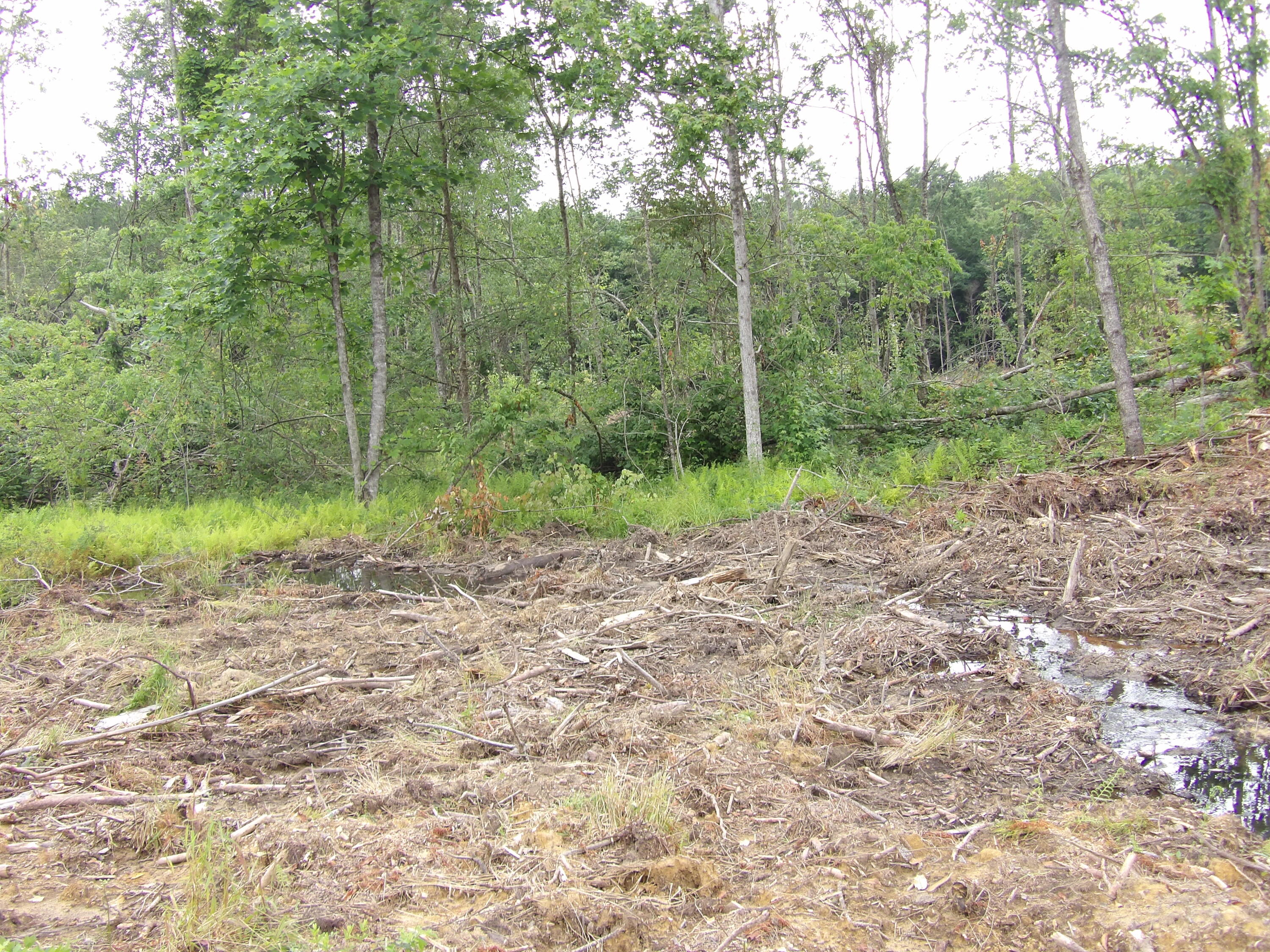 Lot 7 Hughes Cemetery Road, Unit 7 Evensville, TN 37332 - Photo 6 of 14 100_1569