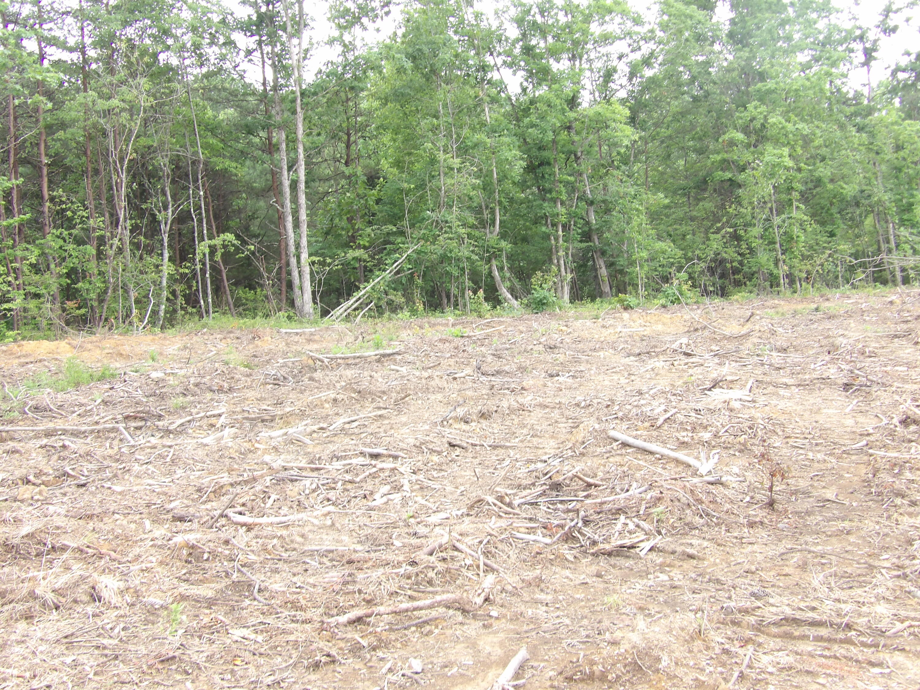 Lot 7 Hughes Cemetery Road, Unit 7 Evensville, TN 37332 - Photo 7 of 14 100_1570