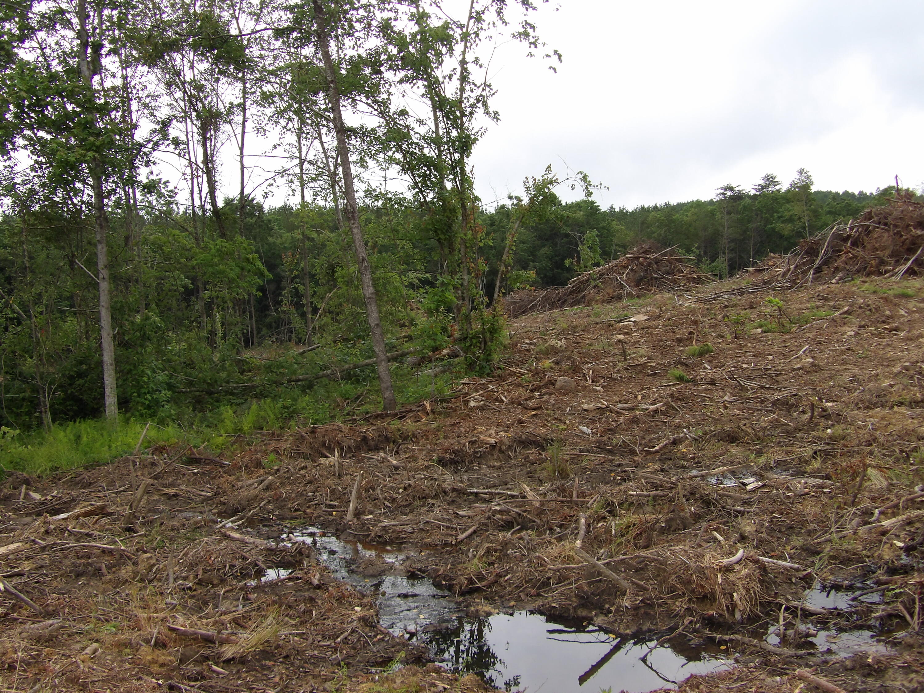 Lot 7 Hughes Cemetery Road, Unit 7 Evensville, TN 37332 - Photo 8 of 14 100_1571