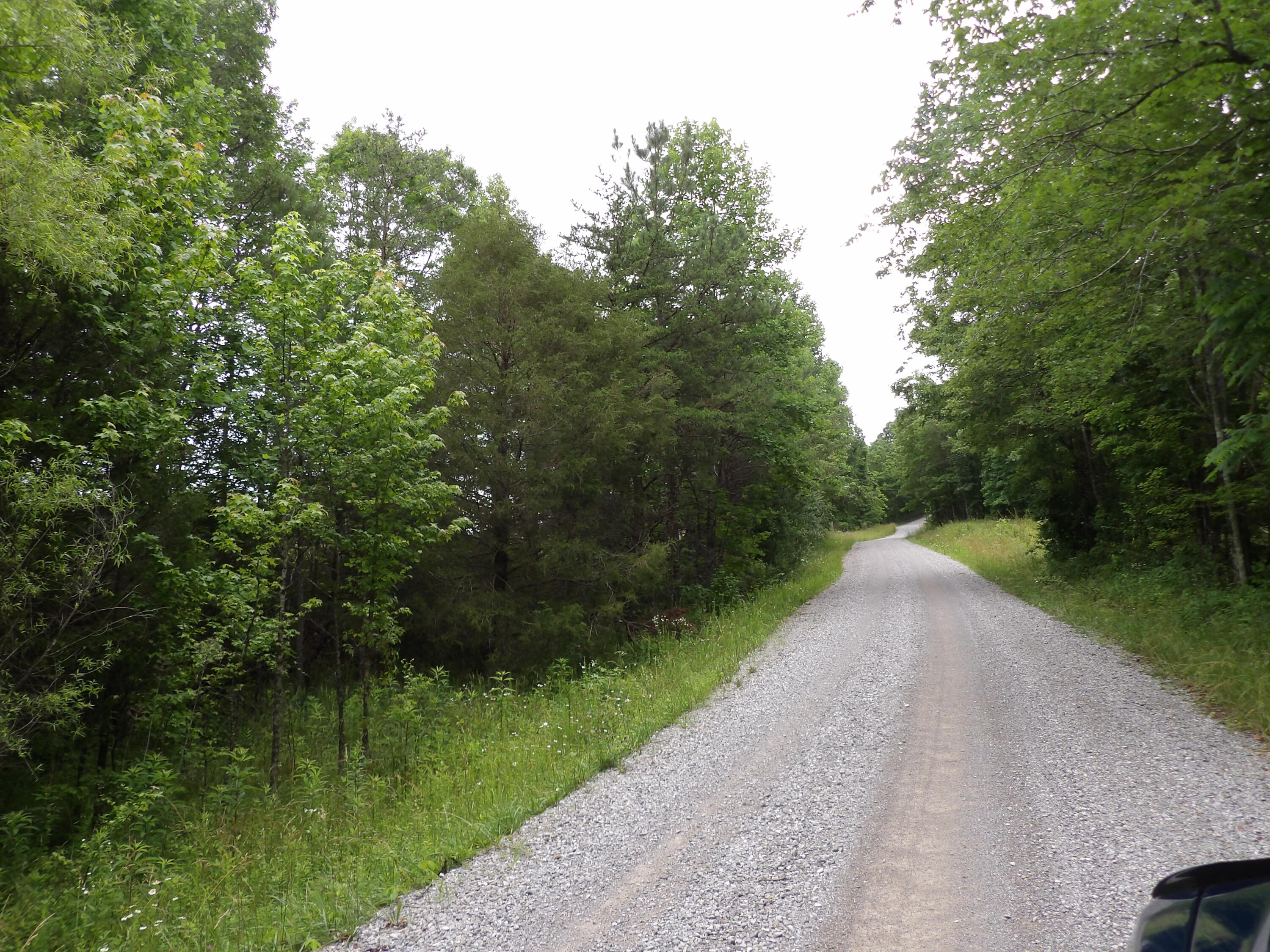 Lot 7 Hughes Cemetery Road, Unit 7 Evensville, TN 37332 - Photo 9 of 14 100_1566