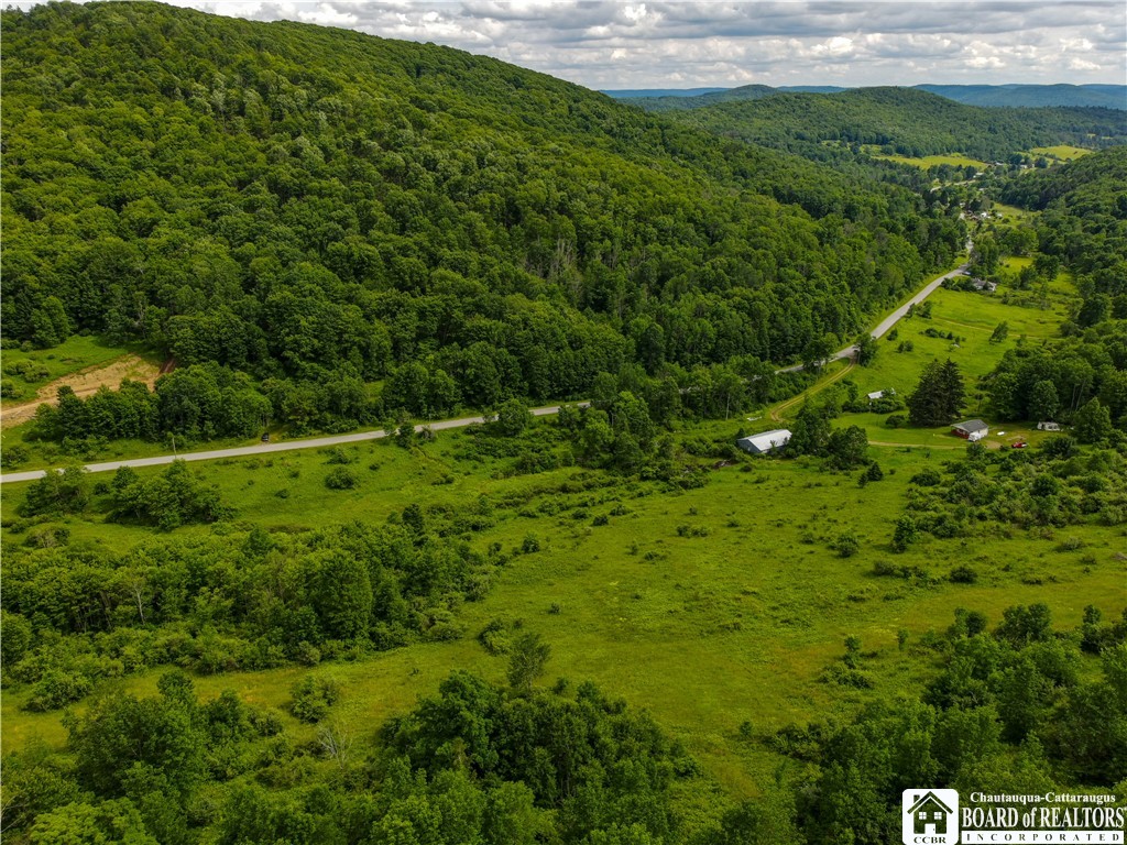 1605 Lillibridge Road Olean, NY 14760 - Photo 45 of 49
