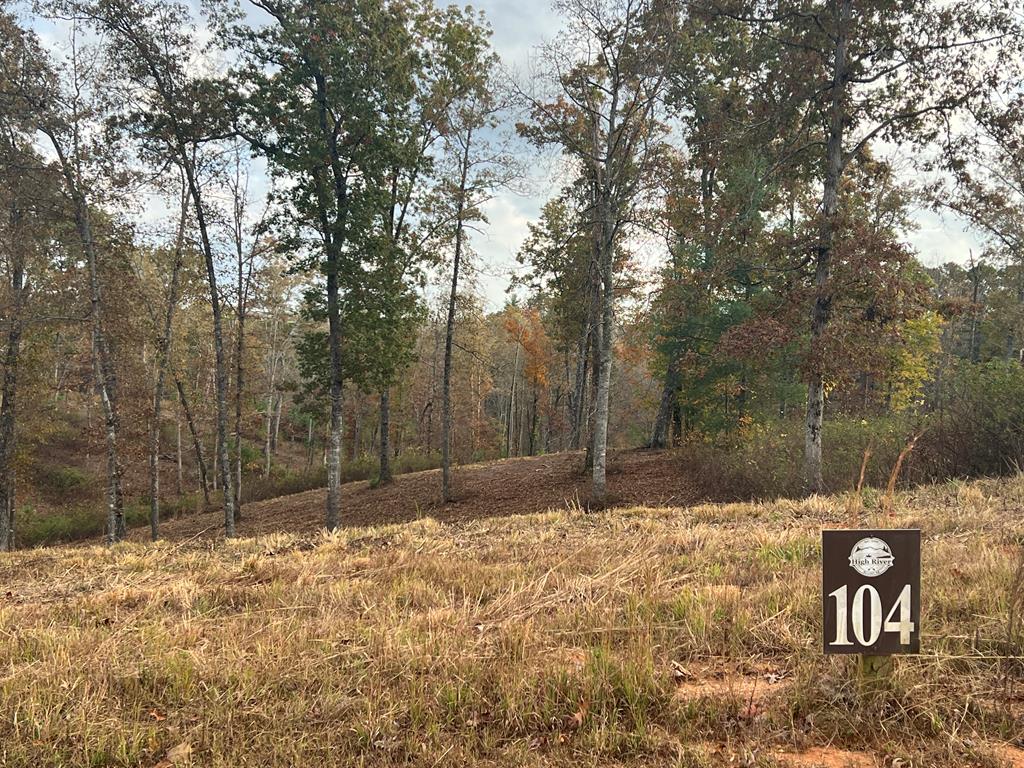 Lot 104 High River Road Ellijay, GA 30540 - Photo 1 of 28 Gallery Image 1