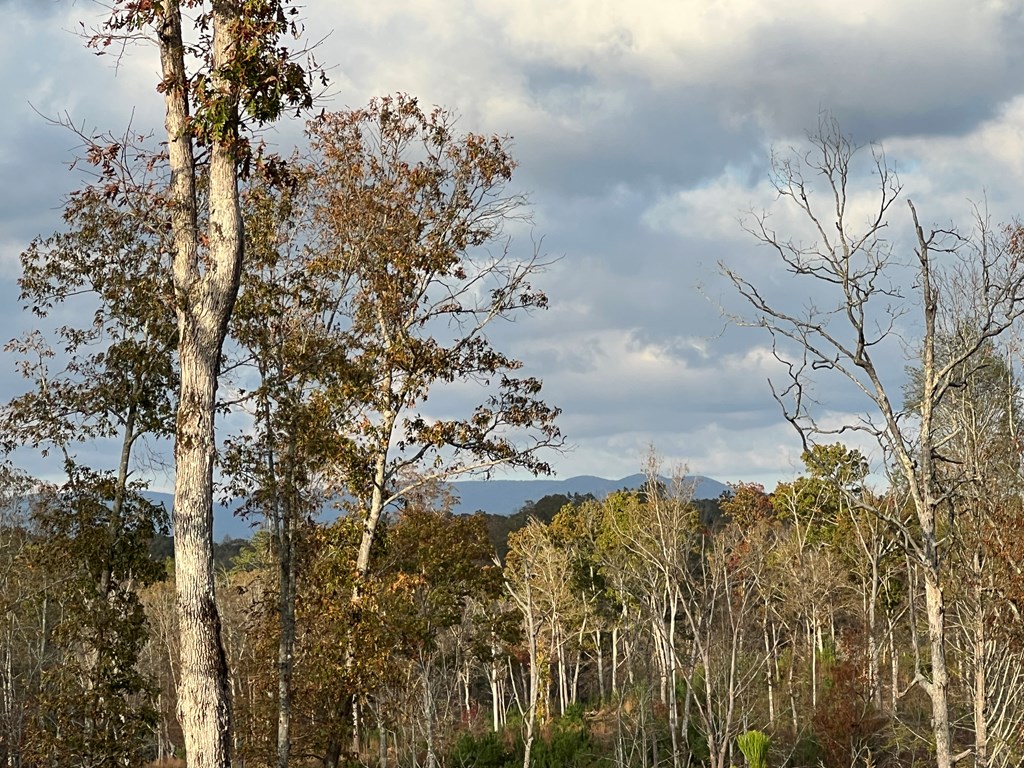 Lot 104 High River Road Ellijay, GA 30540 - Photo 11 of 28 Gallery Image 11