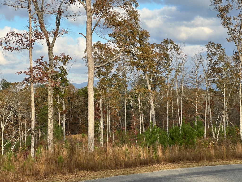 Lot 104 High River Road Ellijay, GA 30540 - Photo 12 of 28 Gallery Image 12
