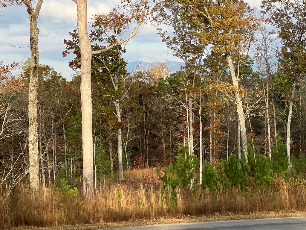 Lot 104 High River Road Ellijay, GA 30540 - Photo 13 of 28 Gallery Image 13