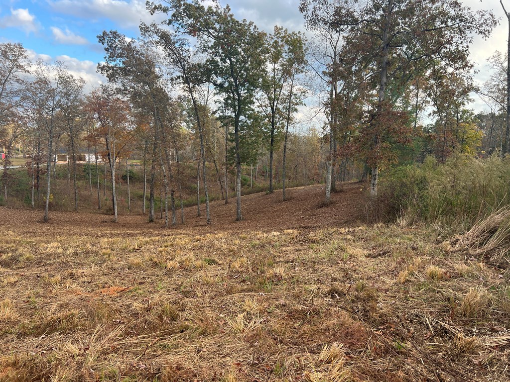 Lot 104 High River Road Ellijay, GA 30540 - Photo 15 of 28 Gallery Image 15