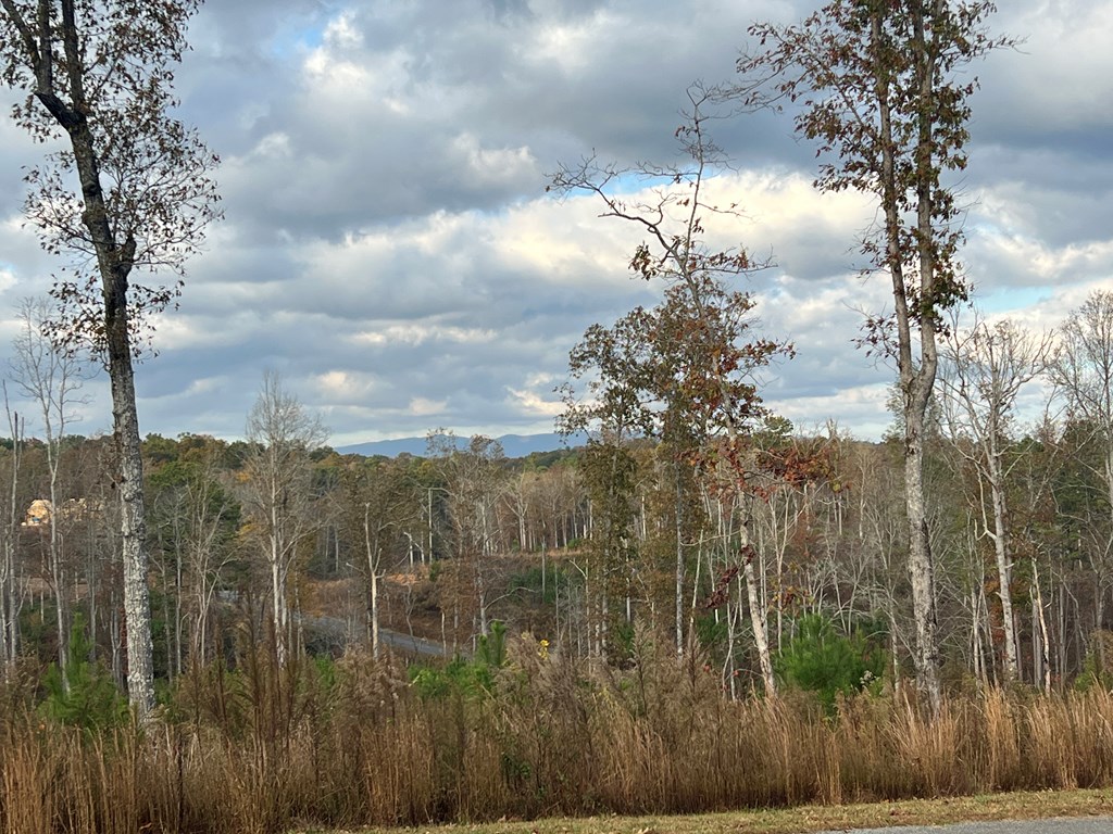 Lot 104 High River Road Ellijay, GA 30540 - Photo 16 of 28 Gallery Image 16