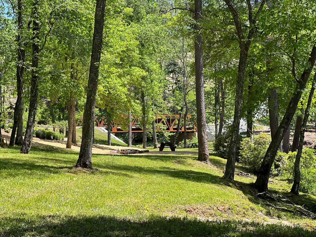 Lot 104 High River Road Ellijay, GA 30540 - Photo 22 of 28 Gallery Image 22