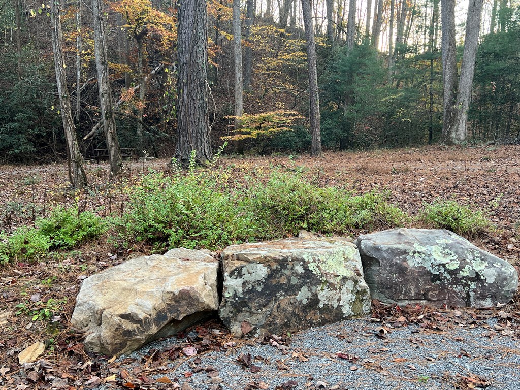 Lot 104 High River Road Ellijay, GA 30540 - Photo 26 of 28 Gallery Image 26