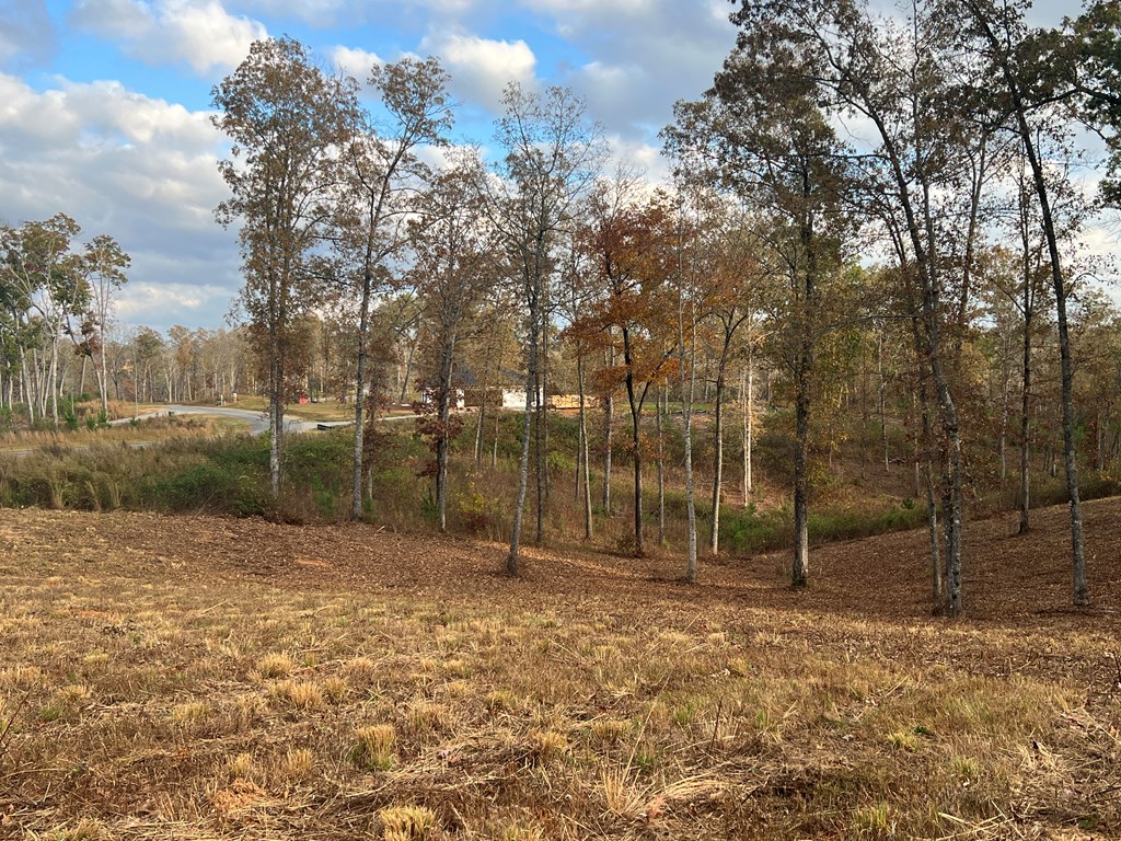 Lot 104 High River Road Ellijay, GA 30540 - Photo 3 of 28 Gallery Image 3