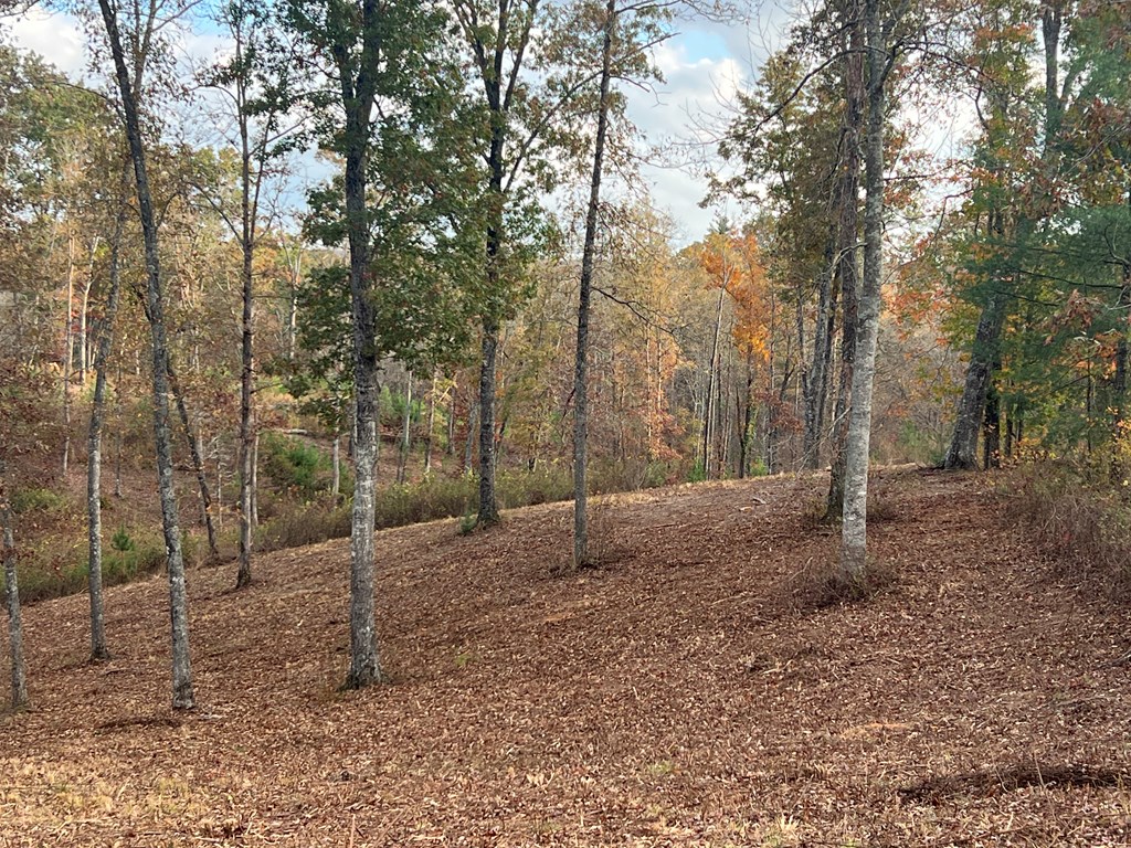 Lot 104 High River Road Ellijay, GA 30540 - Photo 4 of 28 Gallery Image 4