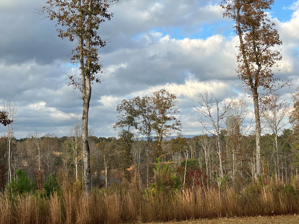 Lot 104 High River Road Ellijay, GA 30540 - Photo 5 of 28 Gallery Image 5