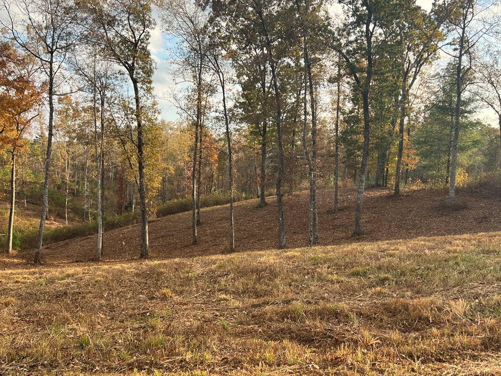 Lot 104 High River Road Ellijay, GA 30540 - Photo 6 of 28 Gallery Image 6