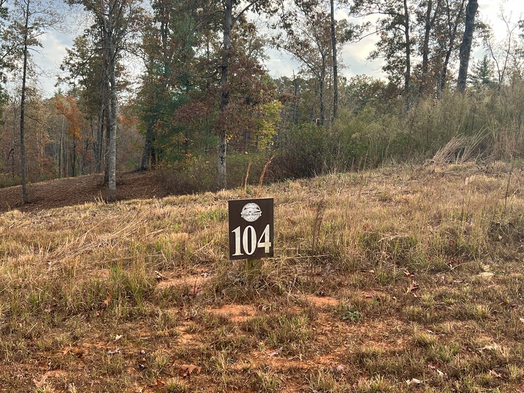 Lot 104 High River Road Ellijay, GA 30540 - Photo 7 of 28 Gallery Image 7