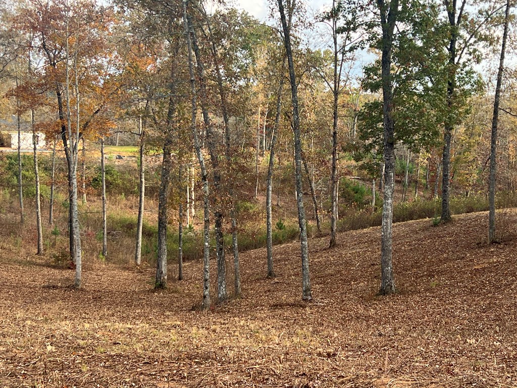 Lot 104 High River Road Ellijay, GA 30540 - Photo 8 of 28 Gallery Image 8