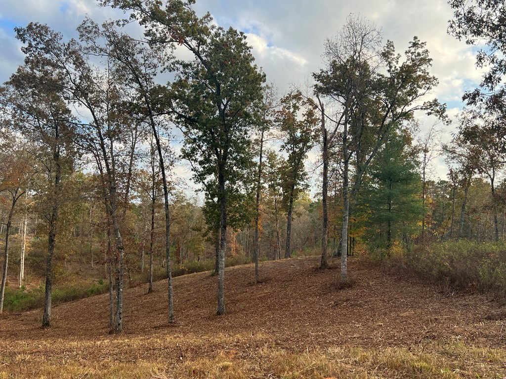 Lot 104 High River Road Ellijay, GA 30540 - Photo 9 of 28 Gallery Image 9