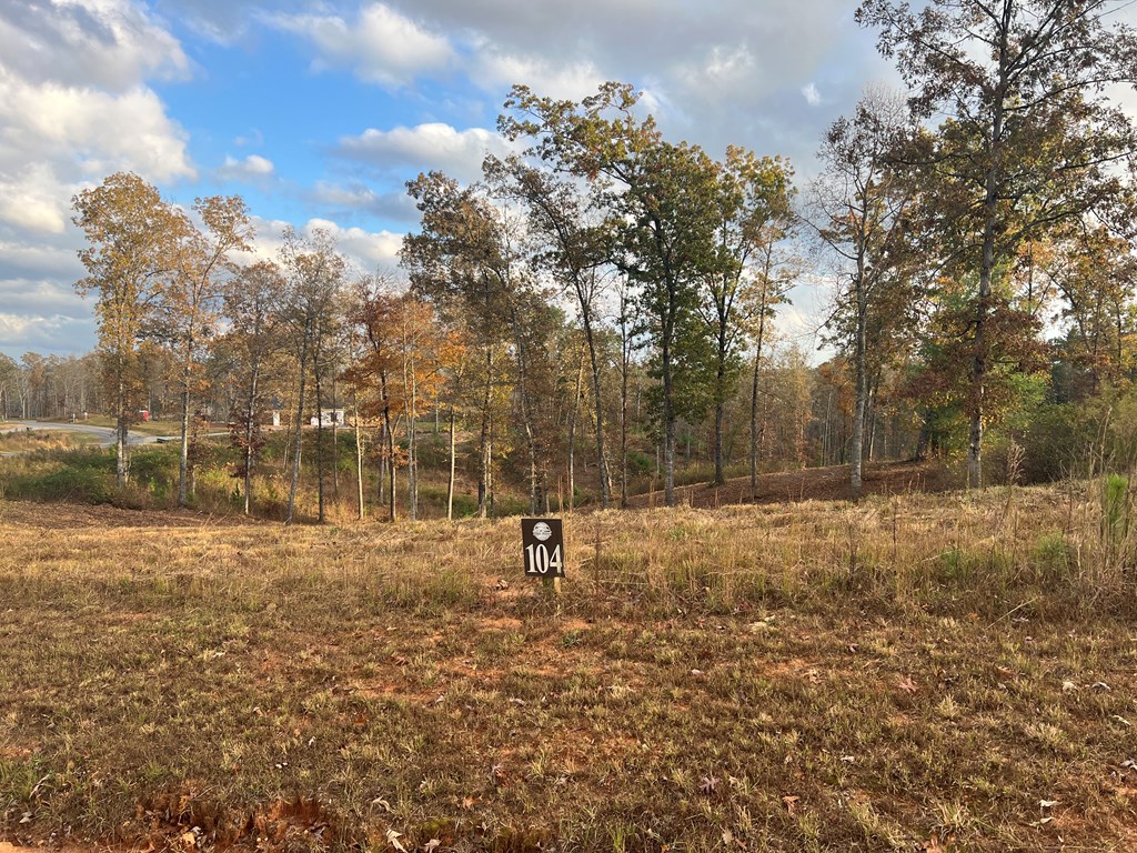 Lot 104 High River Road Ellijay, GA 30540 - Photo 10 of 28 Gallery Image 10