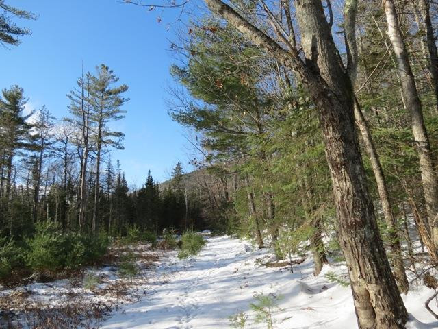 0 Upland Meadows Road Keene, NY 12942 - Photo 3 of 9 Gallery Image 3