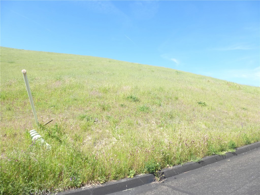 0 Douglas Road San Miguel, CA 93451 - Photo 11 of 42