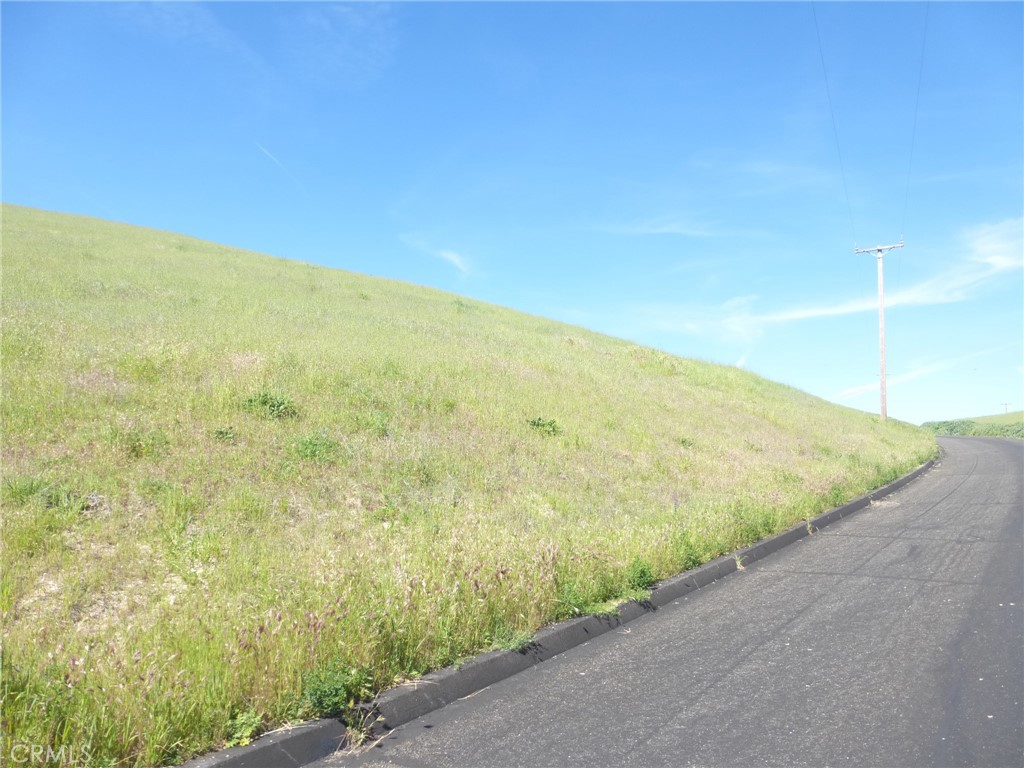 0 Douglas Road San Miguel, CA 93451 - Photo 12 of 42