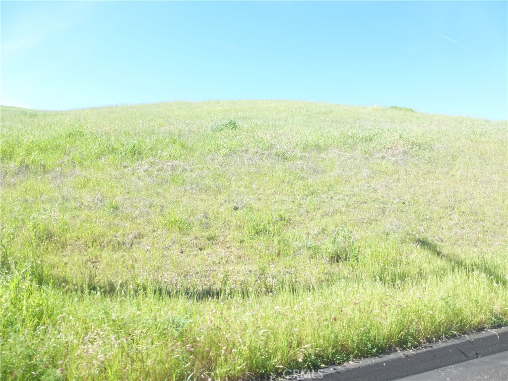 0 Douglas Road San Miguel, CA 93451 - Photo 13 of 42