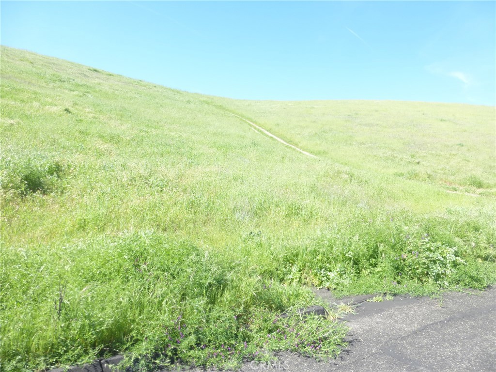 0 Douglas Road San Miguel, CA 93451 - Photo 15 of 42