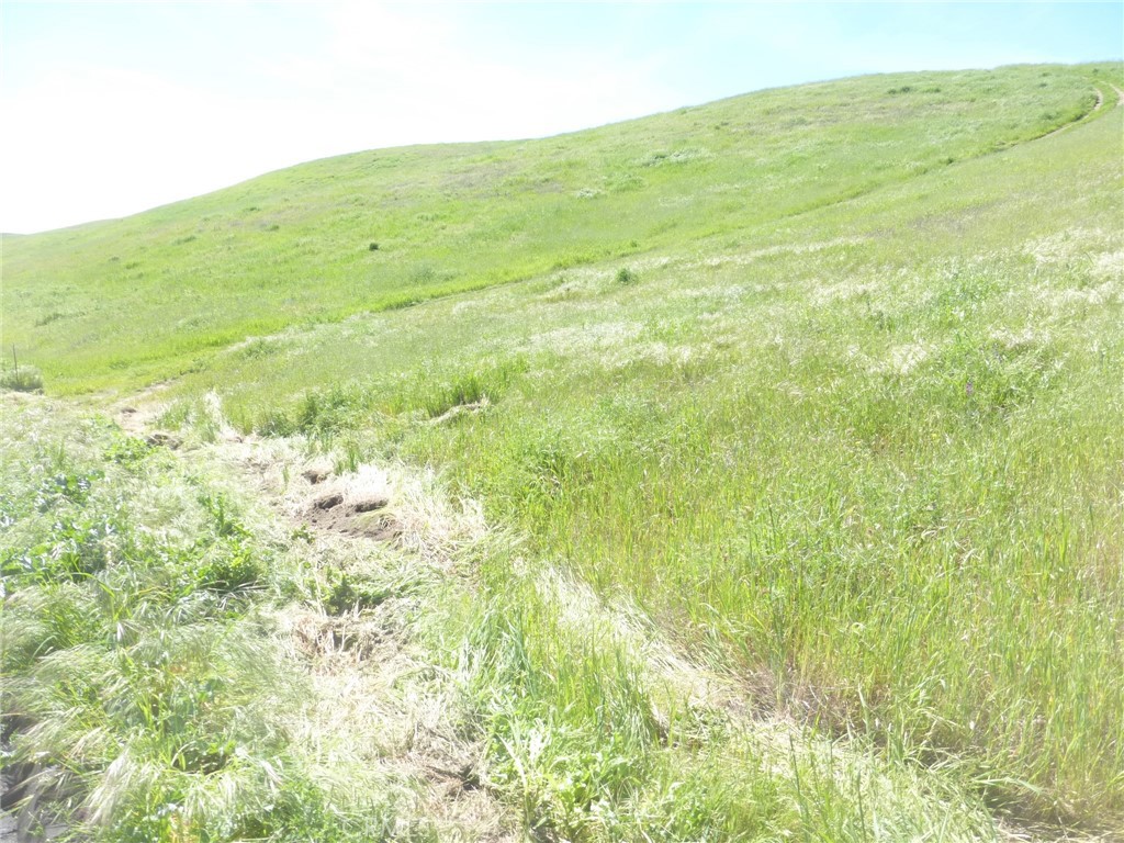 0 Douglas Road San Miguel, CA 93451 - Photo 19 of 42