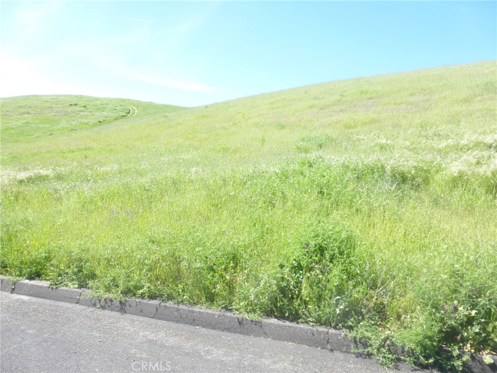 0 Douglas Road San Miguel, CA 93451 - Photo 21 of 42