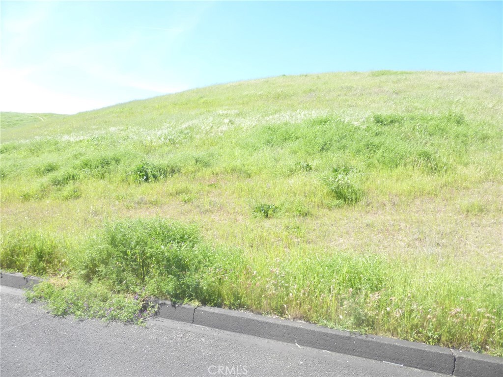 0 Douglas Road San Miguel, CA 93451 - Photo 22 of 42