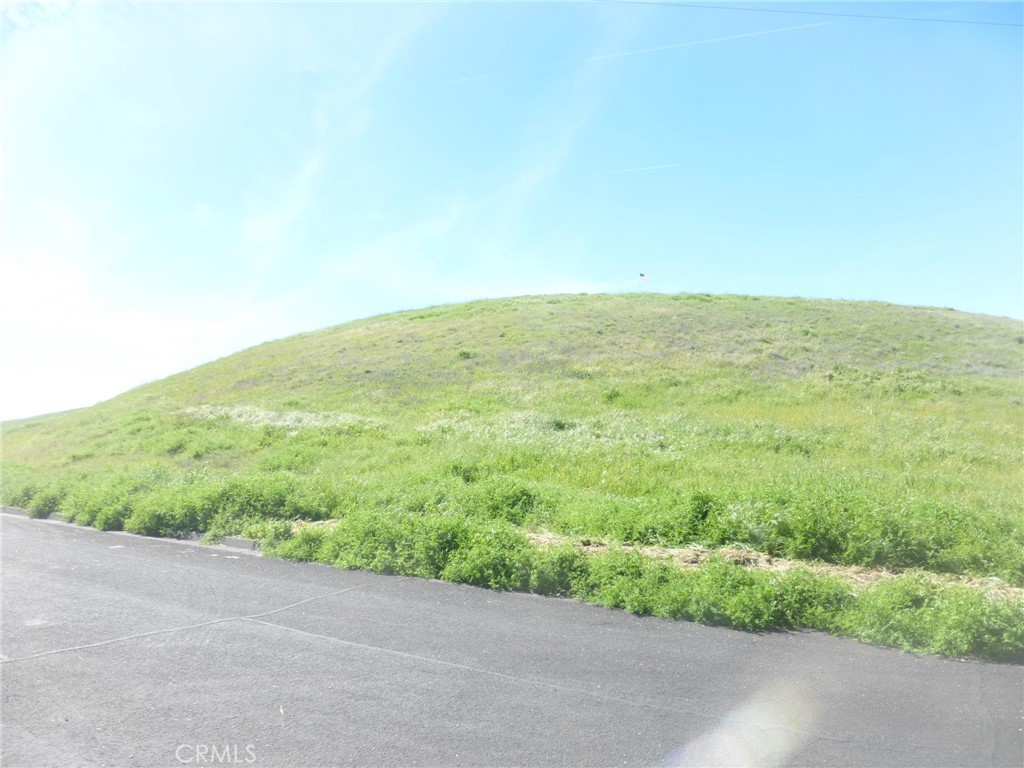 0 Douglas Road San Miguel, CA 93451 - Photo 23 of 42