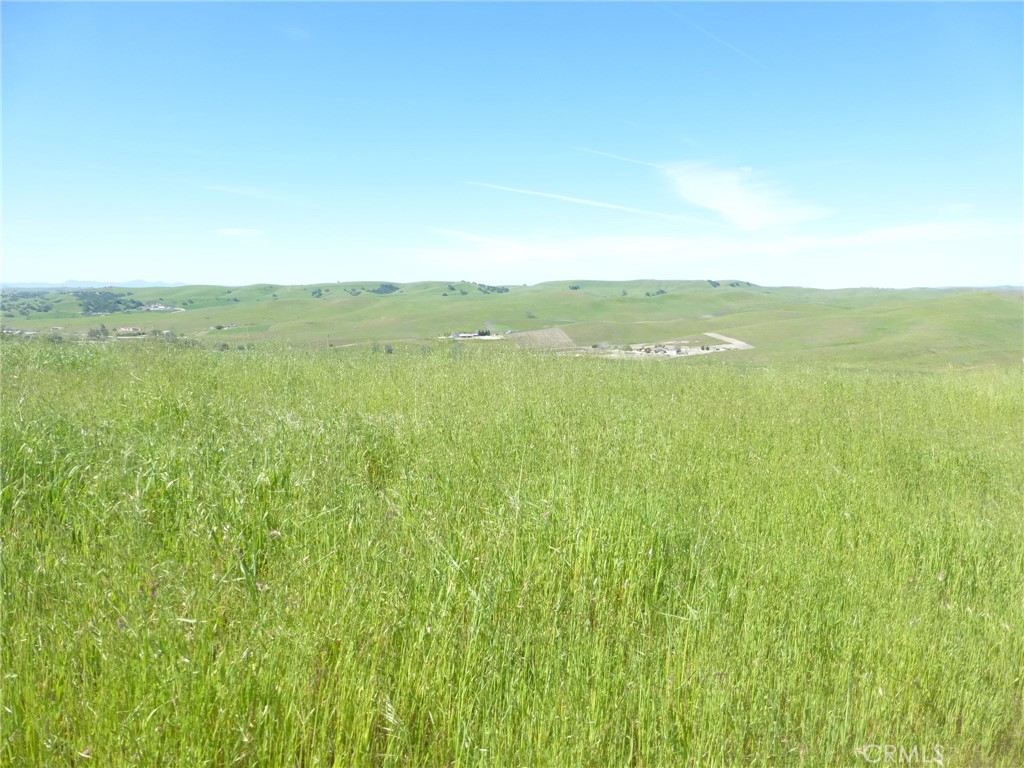 0 Douglas Road San Miguel, CA 93451 - Photo 29 of 42