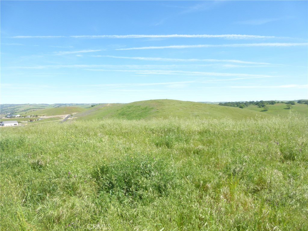 0 Douglas Road San Miguel, CA 93451 - Photo 32 of 42