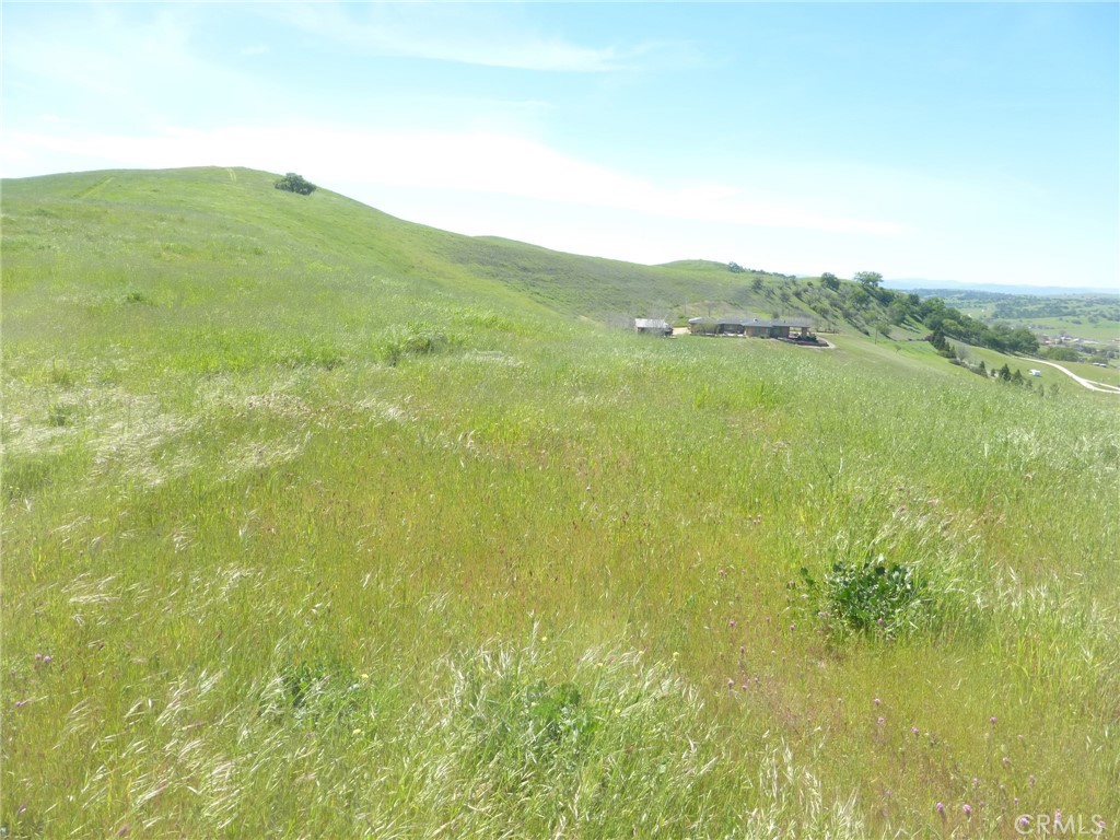 0 Douglas Road San Miguel, CA 93451 - Photo 39 of 42