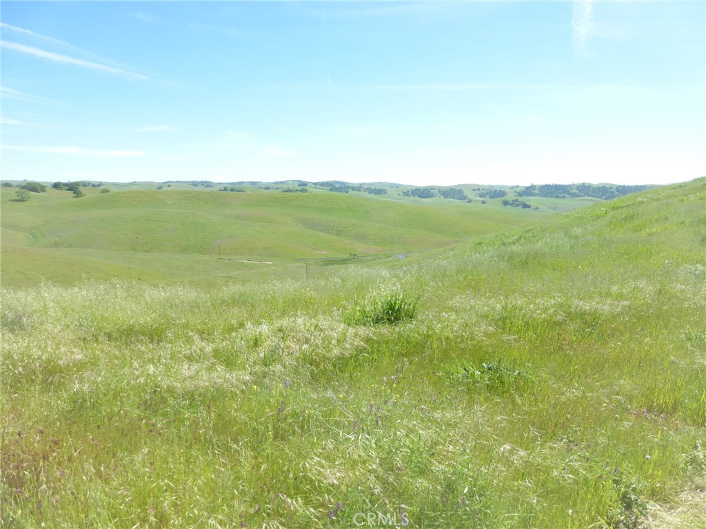 0 Douglas Road San Miguel, CA 93451 - Photo 40 of 42