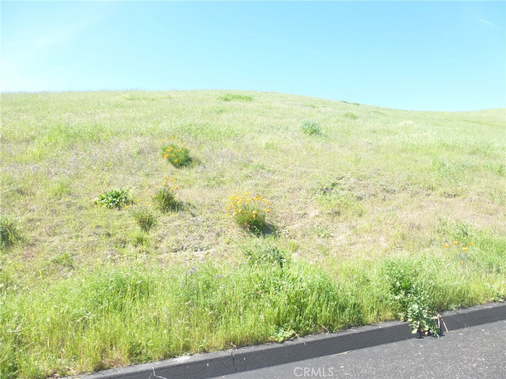 0 Douglas Road San Miguel, CA 93451 - Photo 8 of 42