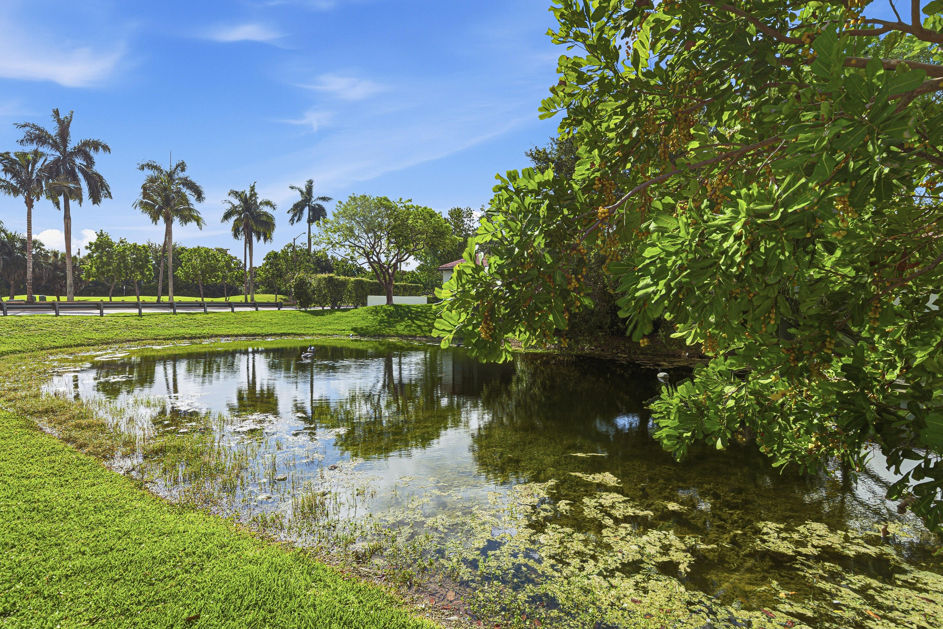 8207 Fairway Road, Unit 8207 Sunrise, FL 33351 - Photo 28 of 34 Back Home-B