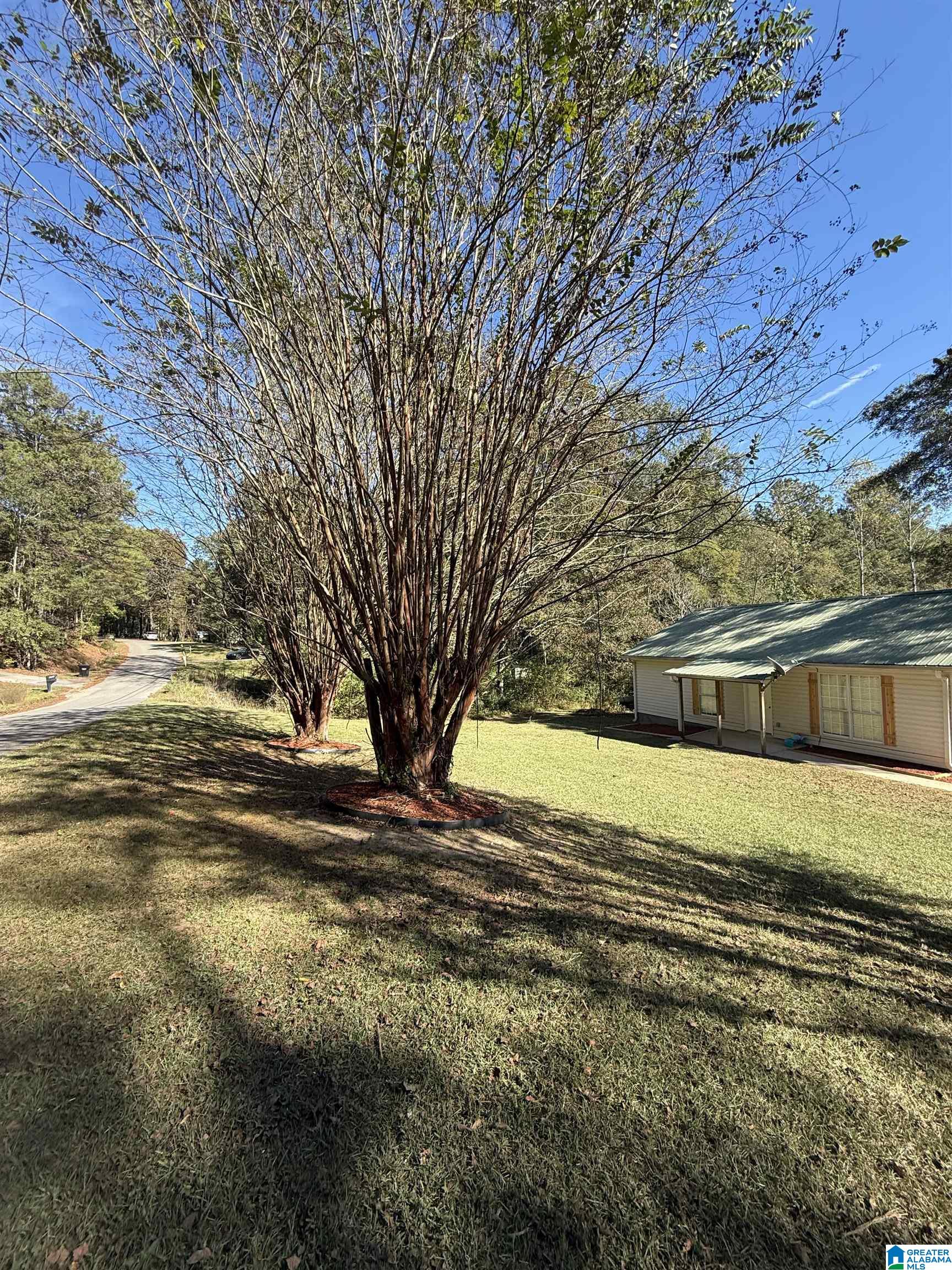 4358 Jolley Road Bessemer, AL 35022 - Photo 2 of 11