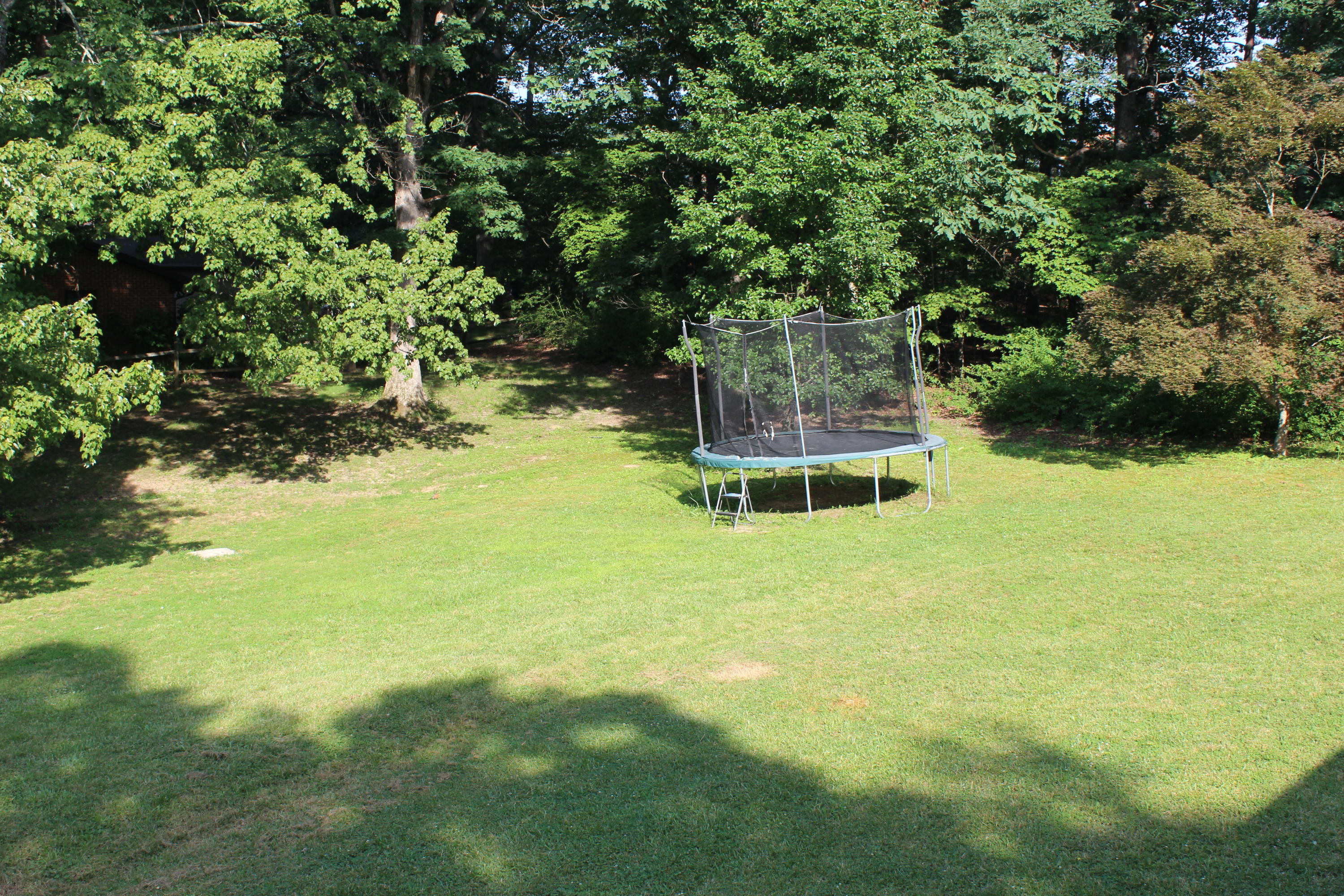 3540 Leffel Road Roanoke, VA 24018 - Photo 14 of 23 Yard