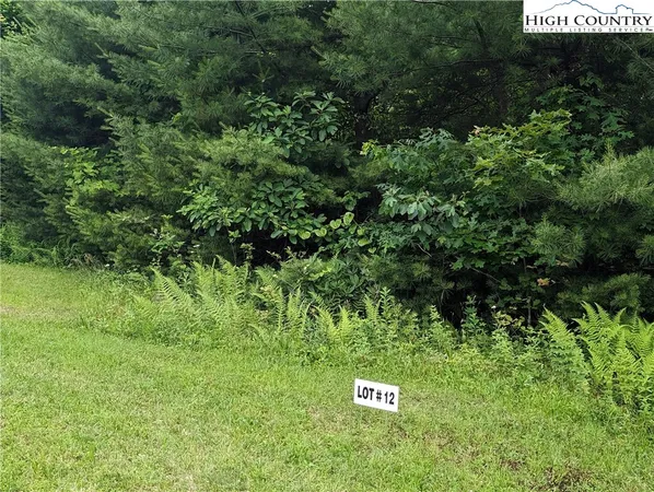$18,000 | Lot 12 Briarwood Lane, Sparta, NC 28675