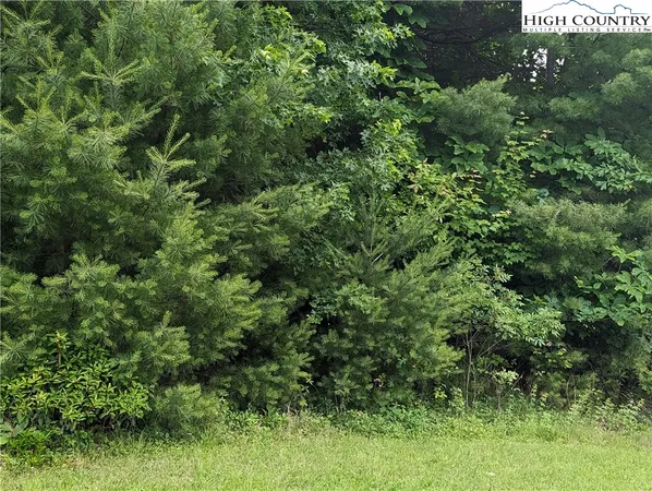 $18,000 | Lot 12 Briarwood Lane, Sparta, NC 28675