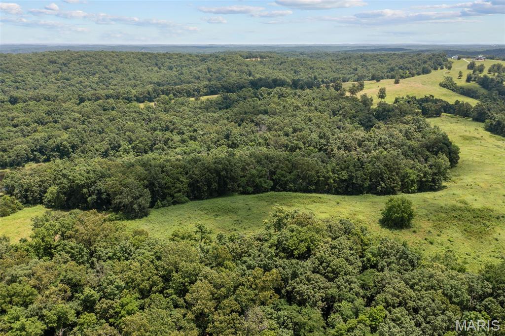 24944 State Rte WW St. Mary, MO 63673 - Photo 11 of 22