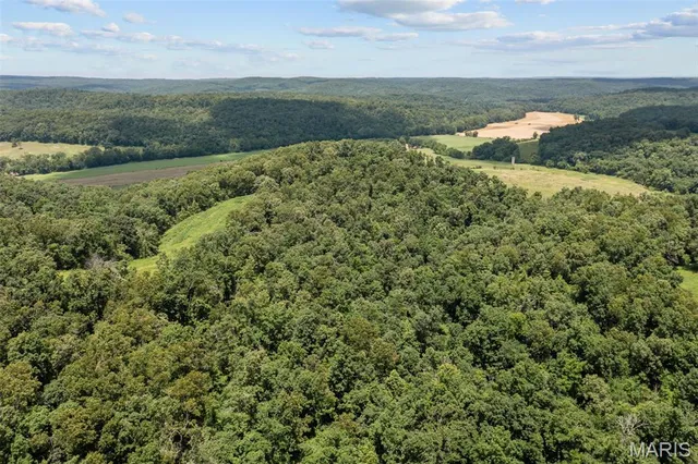 $1,890,000 | 24944 State Rte WW, St. Mary, MO 63673