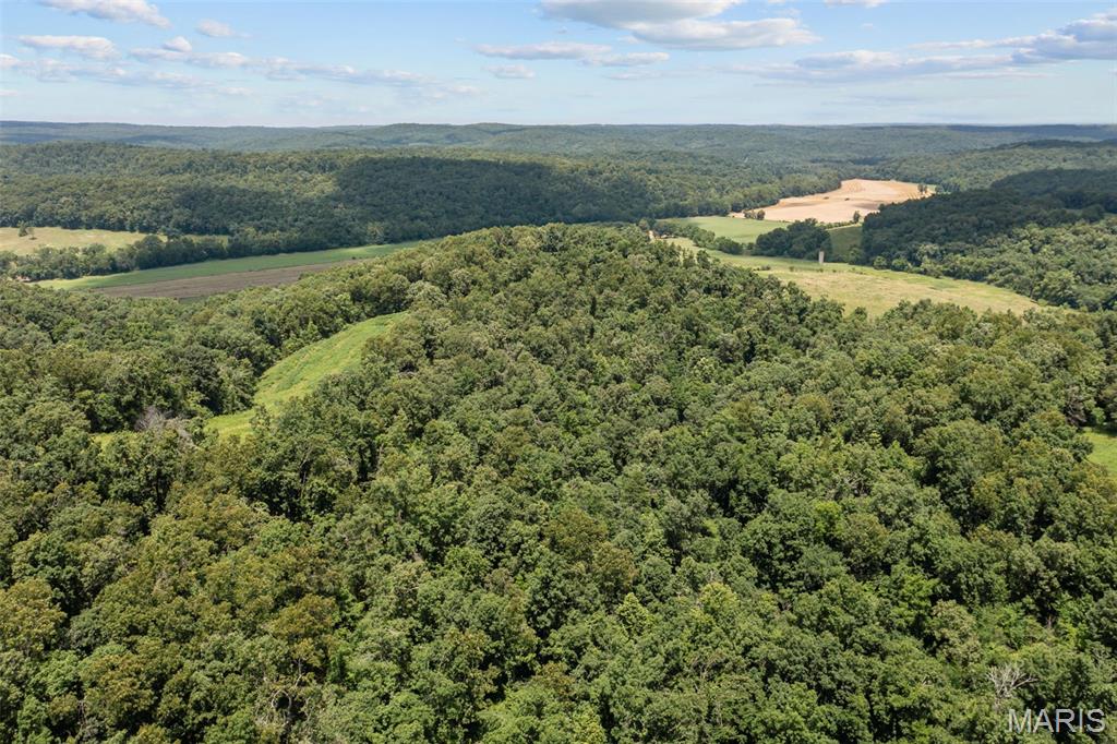 24944 State Rte WW St. Mary, MO 63673 - Photo 14 of 22