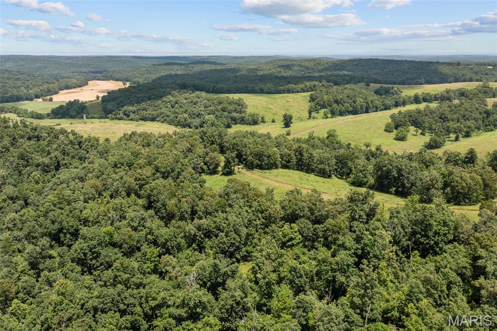 24944 State Rte WW St. Mary, MO 63673 - Photo 15 of 22