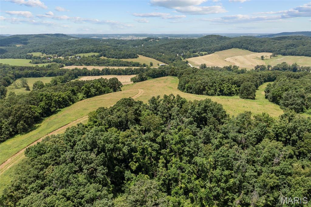 24944 State Rte WW St. Mary, MO 63673 - Photo 3 of 22