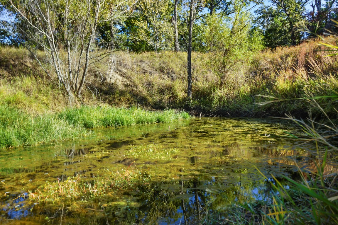 141 Morning Dove Lane Elgin, TX 78621 - Photo 3 of 40